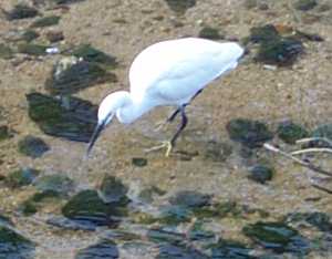 �l����_������